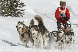 Lenzerheide 2009