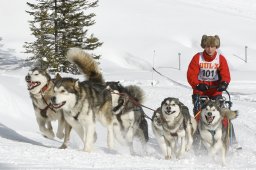 Lenzerheide 2009