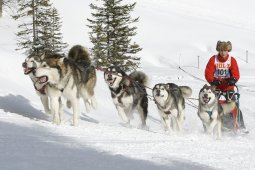 Lenzerheide 2009