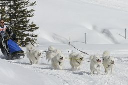 Lenzerheide 2009