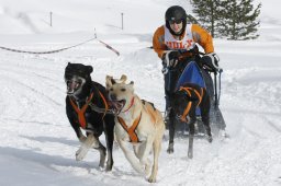 Lenzerheide 2009