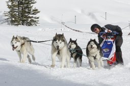 Lenzerheide 2009