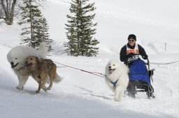 Lenzerheide 2009