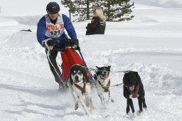 Lenzerheide 2009