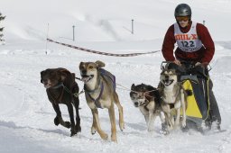 Lenzerheide 2009