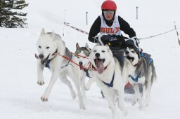 Lenzerheide 2009