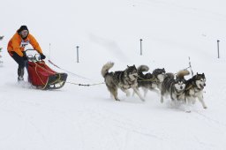 Lenzerheide 2009