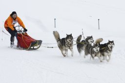 Lenzerheide 2009