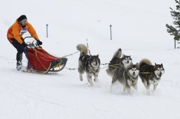 Lenzerheide 2009