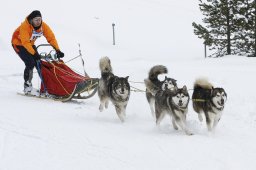 Lenzerheide 2009