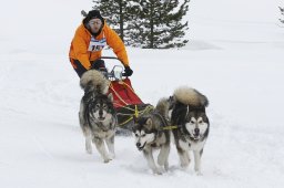 Lenzerheide 2009