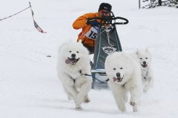 Lenzerheide 2009