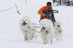 Lenzerheide 2009