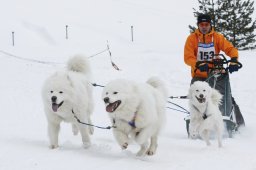 Lenzerheide 2009