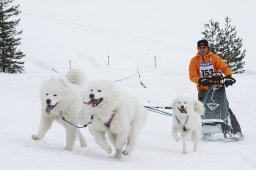 Lenzerheide 2009