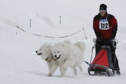 Lenzerheide 2009