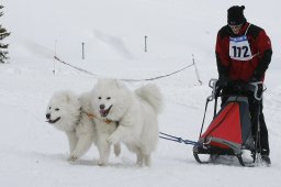 Lenzerheide 2009