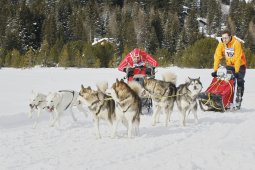 Lenzerheide 2009