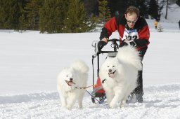 Lenzerheide 2009