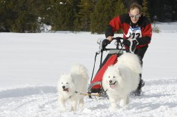 Lenzerheide 2009