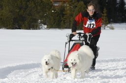 Lenzerheide 2009