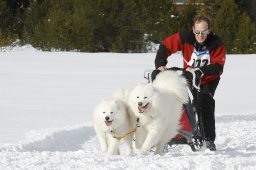 Lenzerheide 2009