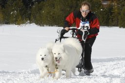 Lenzerheide 2009