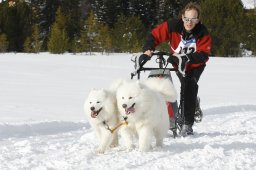 Lenzerheide 2009