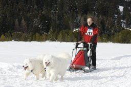 Lenzerheide 2009