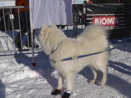 Lenzerheide 2009