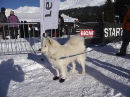 Lenzerheide 2009