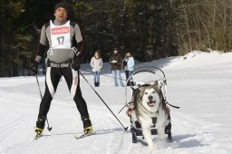 Kandersteg 2010