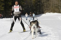 Kandersteg 2010