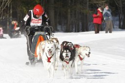 Kandersteg 2010