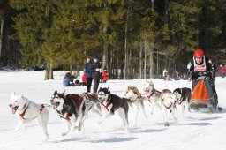 Kandersteg 2010