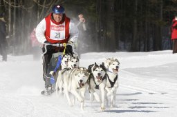 Kandersteg 2010