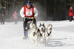 Kandersteg 2010