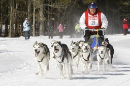 Kandersteg 2010