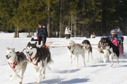 Kandersteg 2010