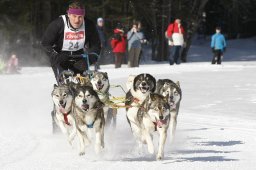 Kandersteg 2010