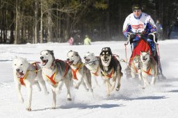 Kandersteg 2010