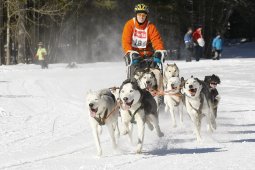 Kandersteg 2010