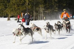 Kandersteg 2010