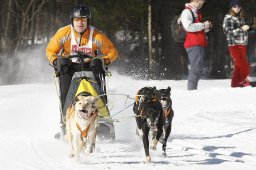 Kandersteg 2010