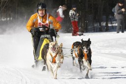 Kandersteg 2010