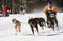 Kandersteg 2010