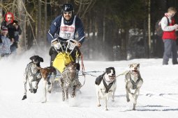 Kandersteg 2010