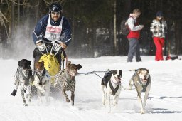 Kandersteg 2010