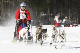 Kandersteg 2010