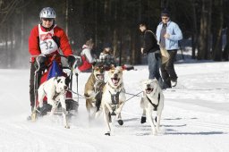 Kandersteg 2010